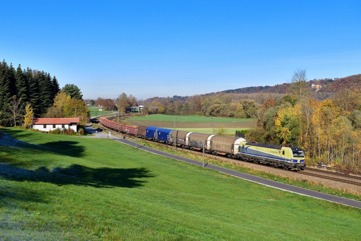 1193 890 mit DGS 48963 am 06.11.2020 bei Vilshofen.