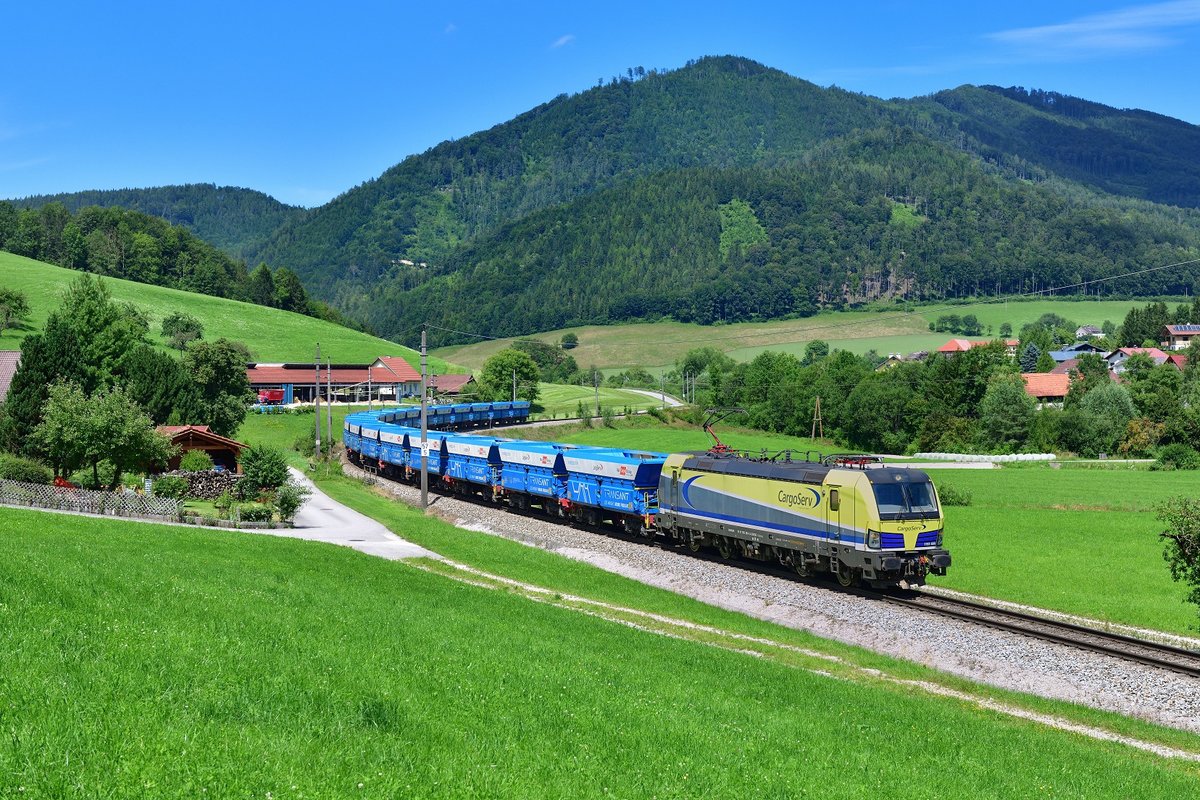 1193 890 mit einem Erzzug am 27.07.2020 bei Schön.