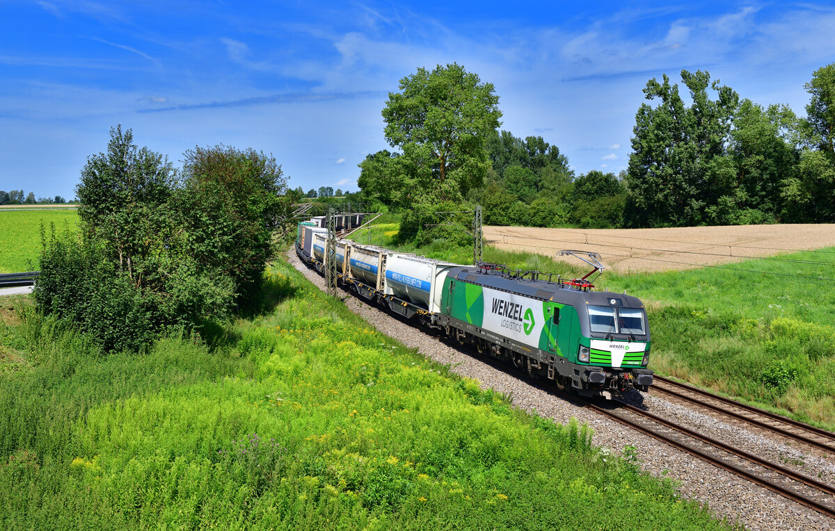 1193 900 mit einem KLV am 18.07.2024 bei Langenisarhofen.