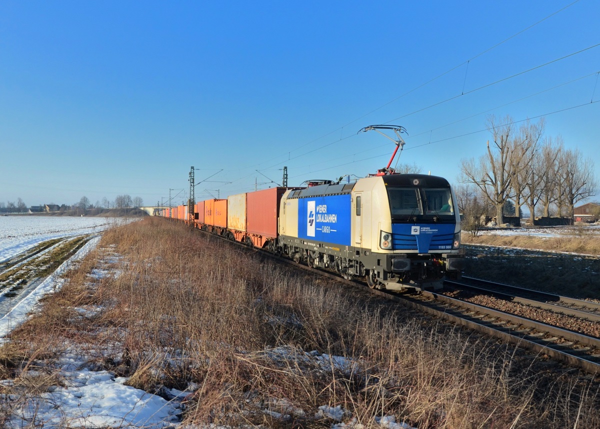 1193 980 mit einem Containerzug am 20.02.2015 bei Plattling. 