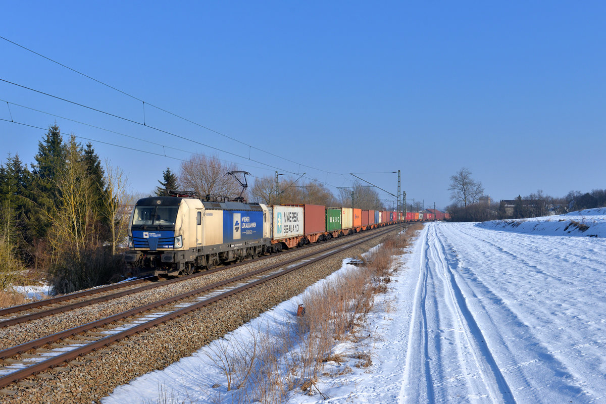 1193 980 mit einem Containerzug am 29.01.2017 bei Langenisarhofen. 