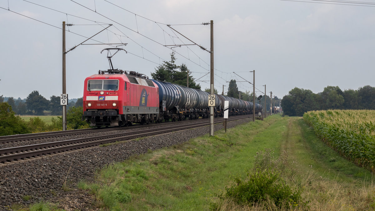 120 145-8 - Laubenzedel 11.08.20