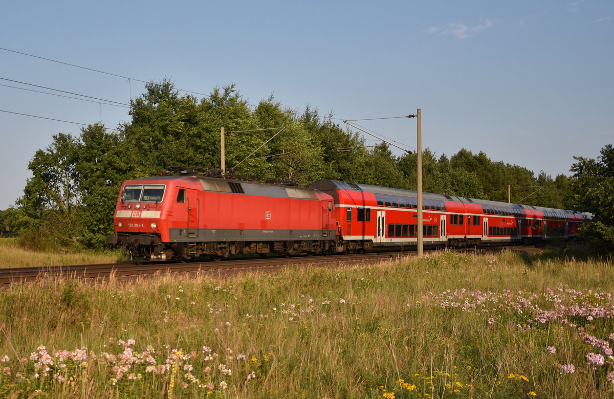 120 204-3 als RE1 des Hanse-Express, unterwegs in Richtung Hamburg. 3km östlich von Büchen, 26.07.2018.