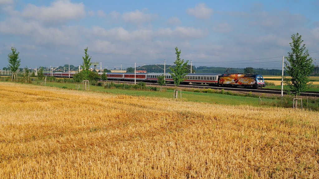 1216 019 (Verdi und Wagner) mit CNL 429 bei Mammendorf (20.08.2013)