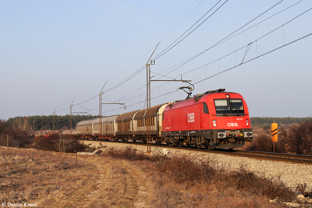 1216 143 mit Güterzug am 15.03.2015 bei Crnotice. 