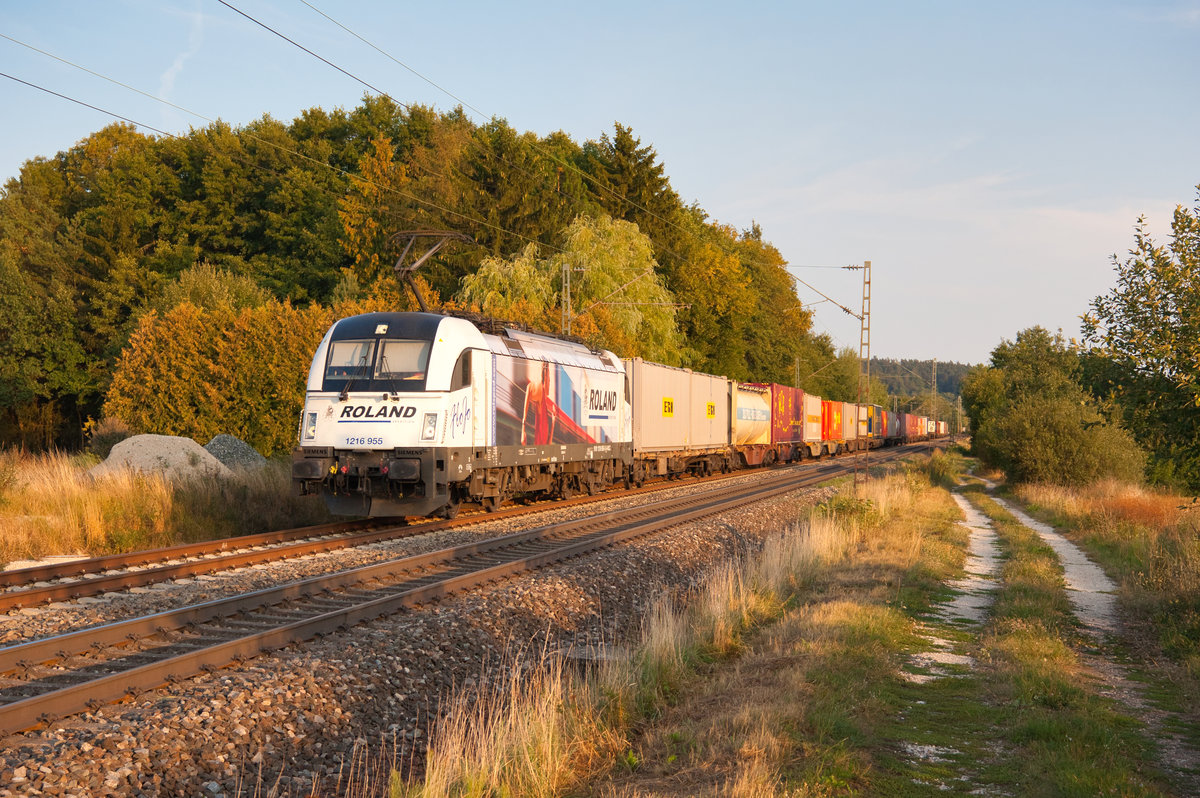 1216 915  Roland  mit einem KLV-Zug bei Postbauer-Heng Richtung Nürnberg, 28.08.2018