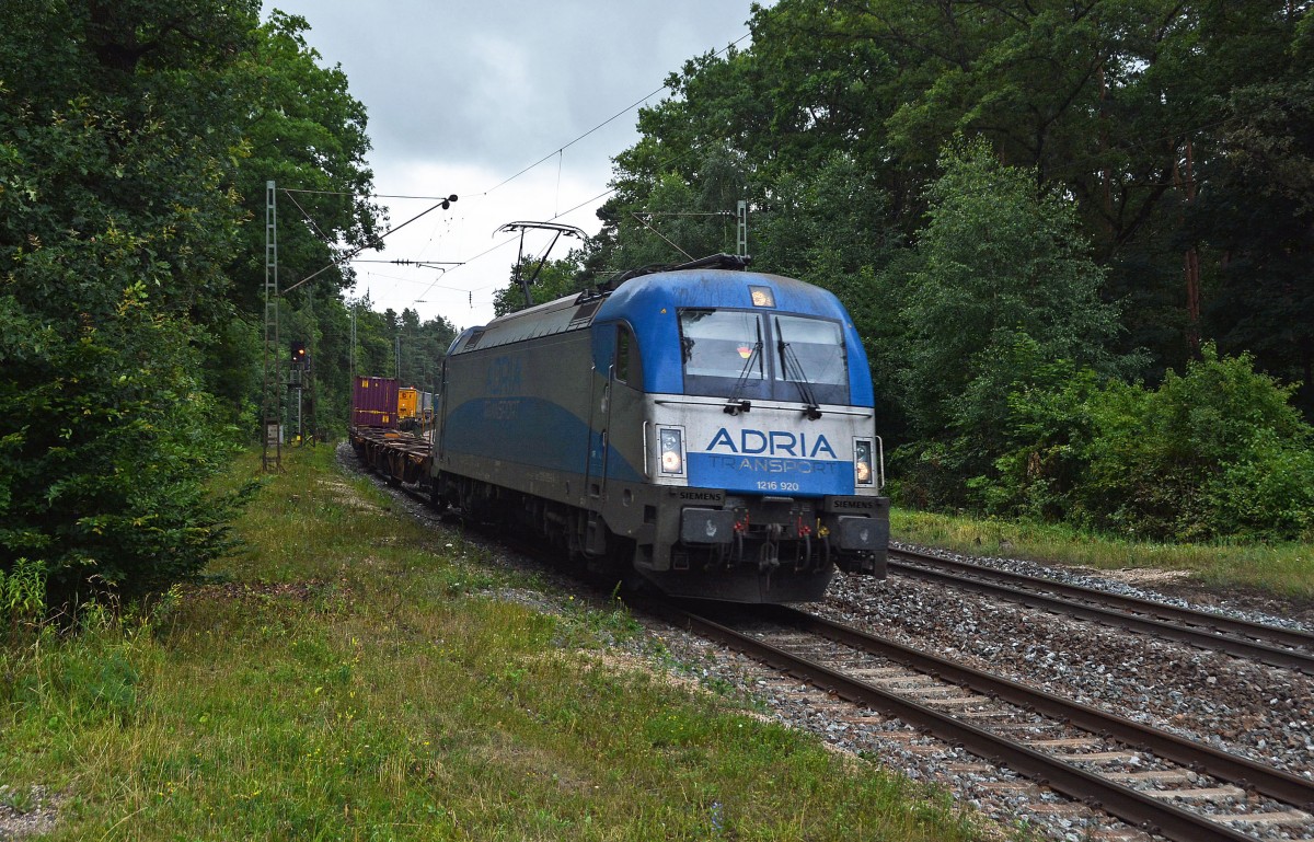 1216 920 Adria Taurus mit einem KLV Richtung Nürnberg auf der KBS 880.Burgthann 10.7.2014