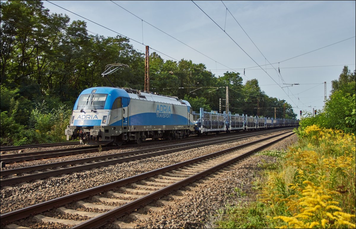 1216 921-7 ist mit einen leeren Autozug bei Elm am 30.08.2017 unterwegs.