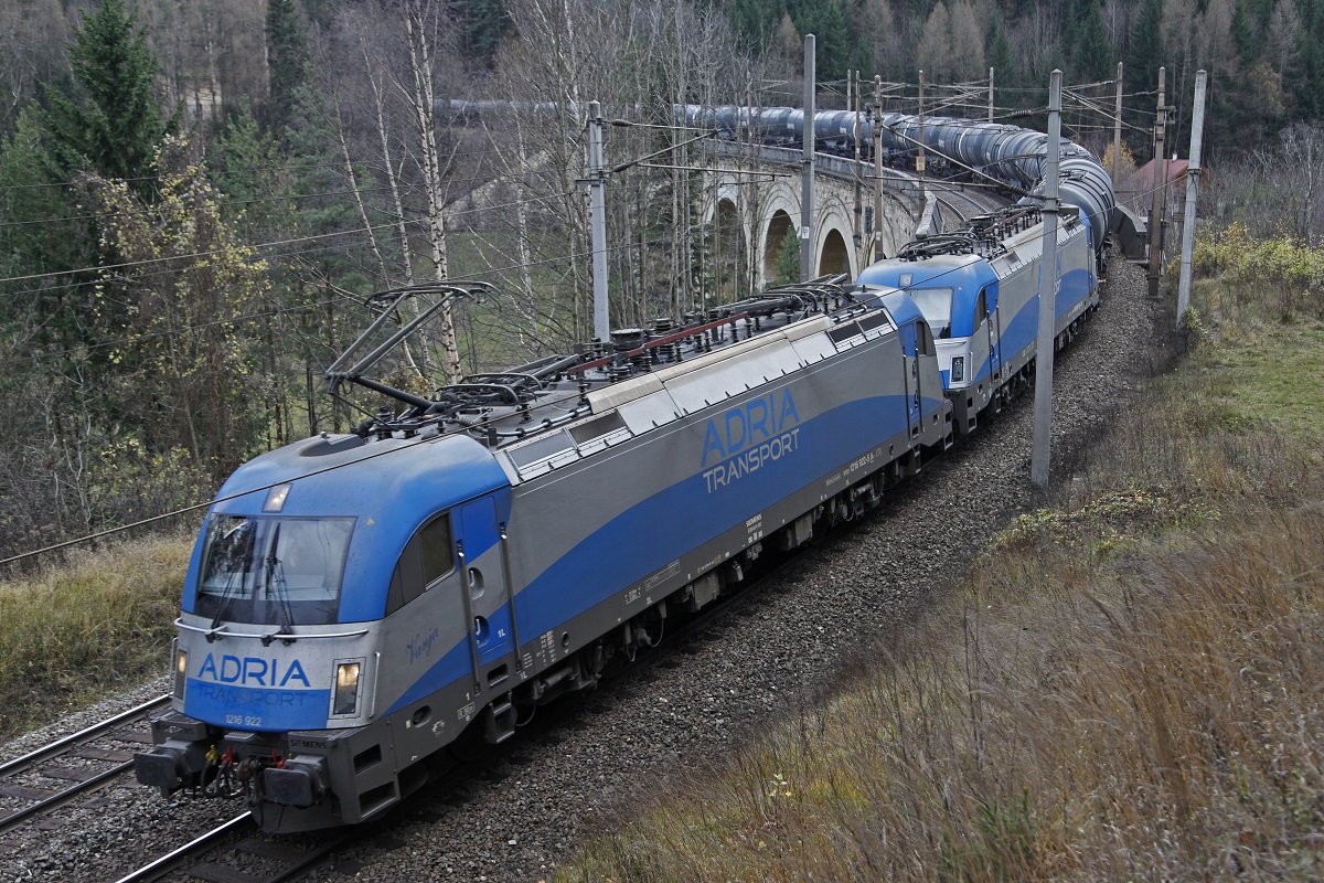 1216 922 + 1216 921 fahren am 19.11.2014 mit einem Güterzug über den Adlitzgrabenviadukt.
