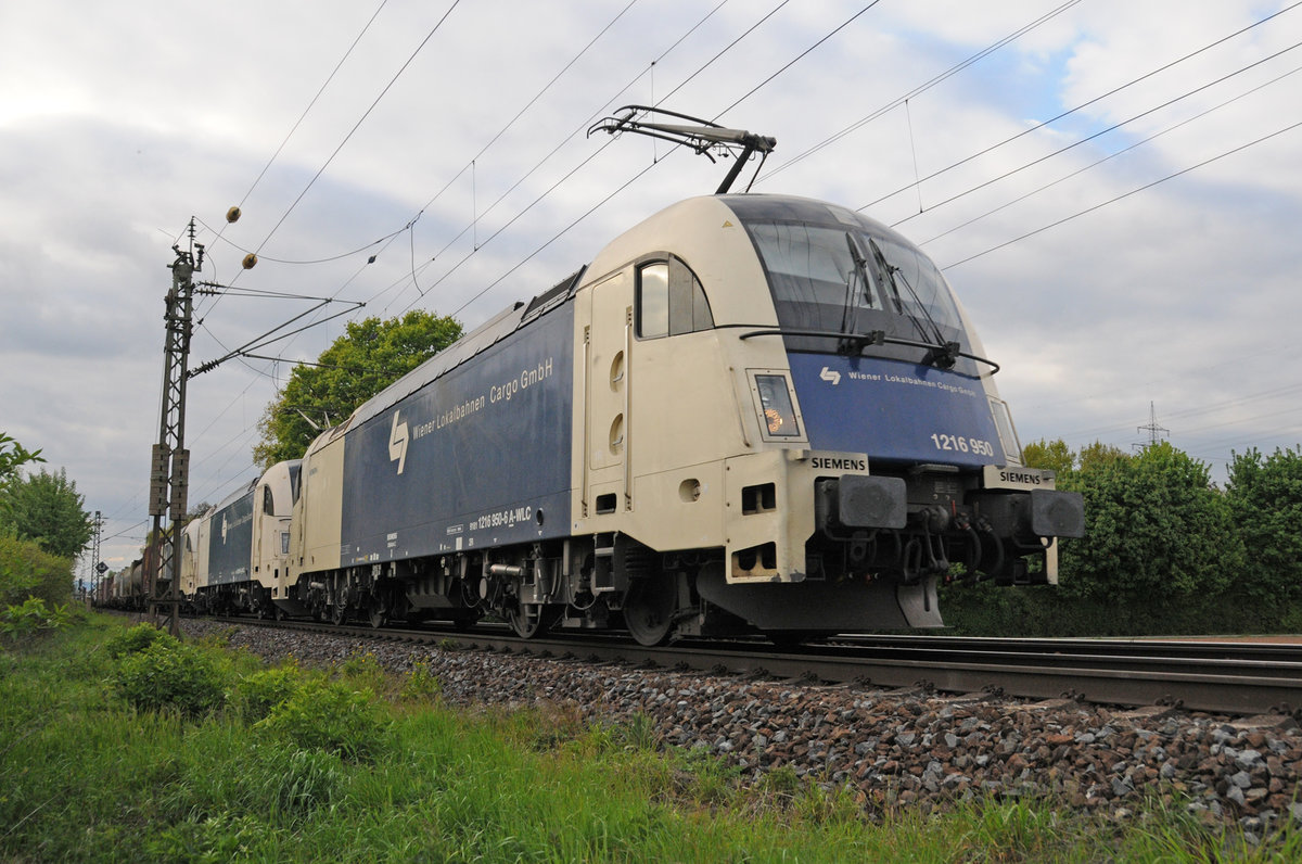 1216 950  @ Bauscheim am 23.04.2017