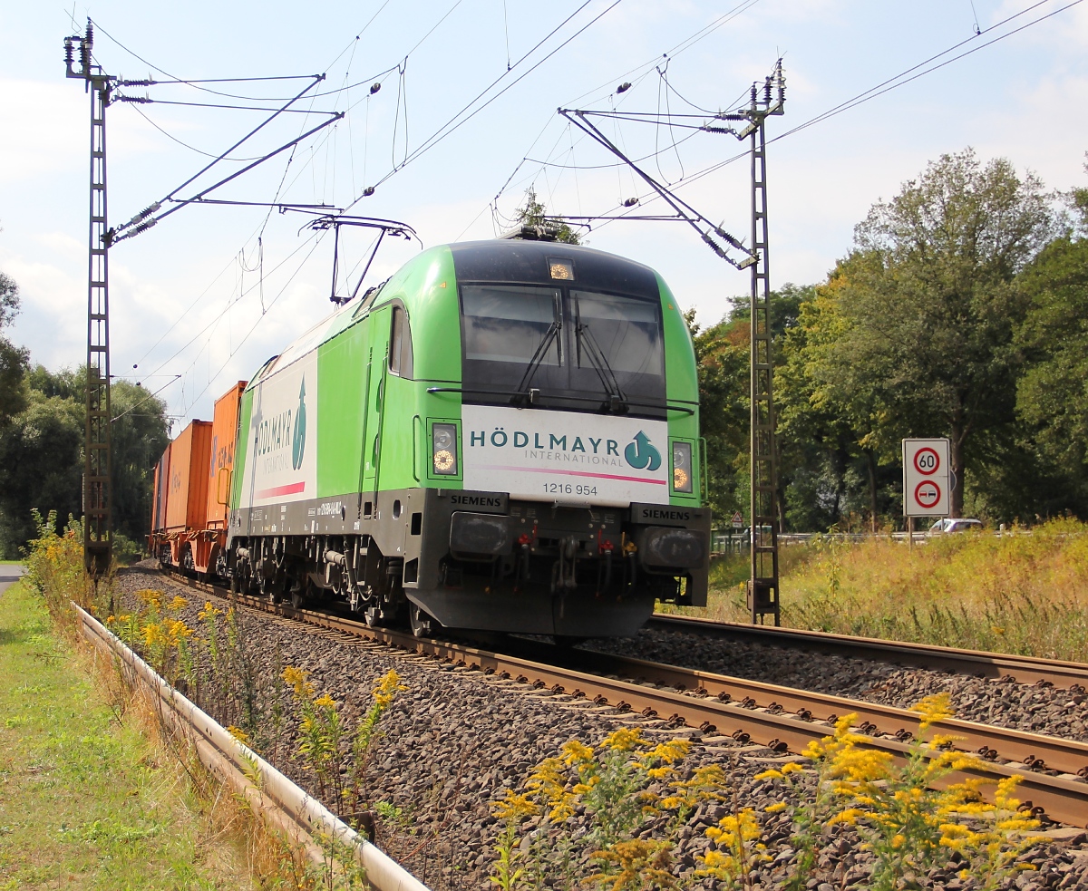 1216 954-8 nochmal aus einer etwas anderen Perspektive. Unterwegs war die Lok am 09.09.2013 mit einem Containerzug in Fahrtrichtung Norden. Aufgenommen in Wehretal-Reichensachsen.