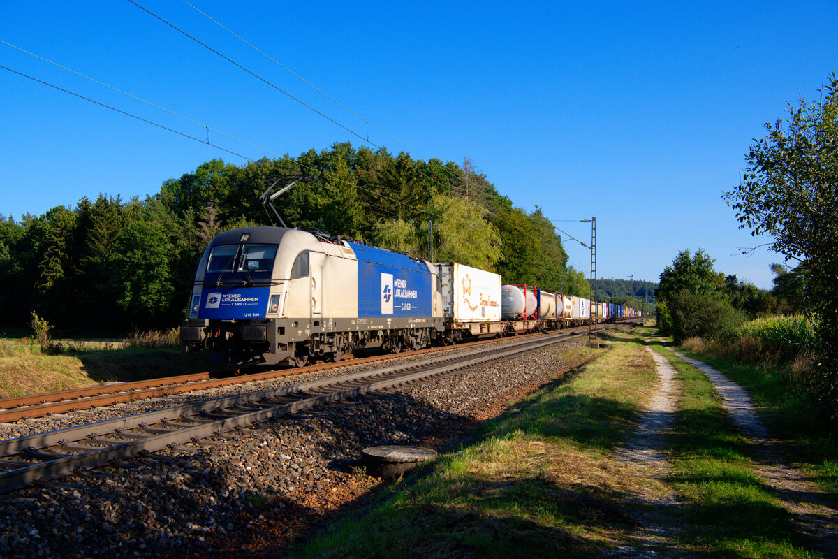 1216 954 WLC mit einem Containerzug bei Postbauer-Heng Richtung Nürnberg, 20.09.2020