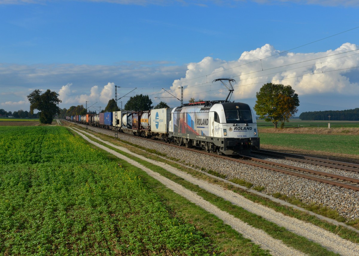 1216 955 mit einem KLV am 09.10.2015 bei Langenisarhofen. 
