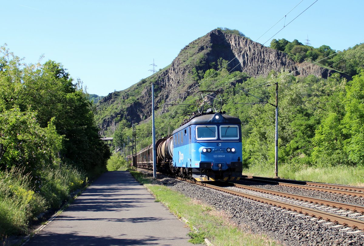 123 004-4 zu sehen am 02.06.19 mit einem Mischer bei Libochovany.