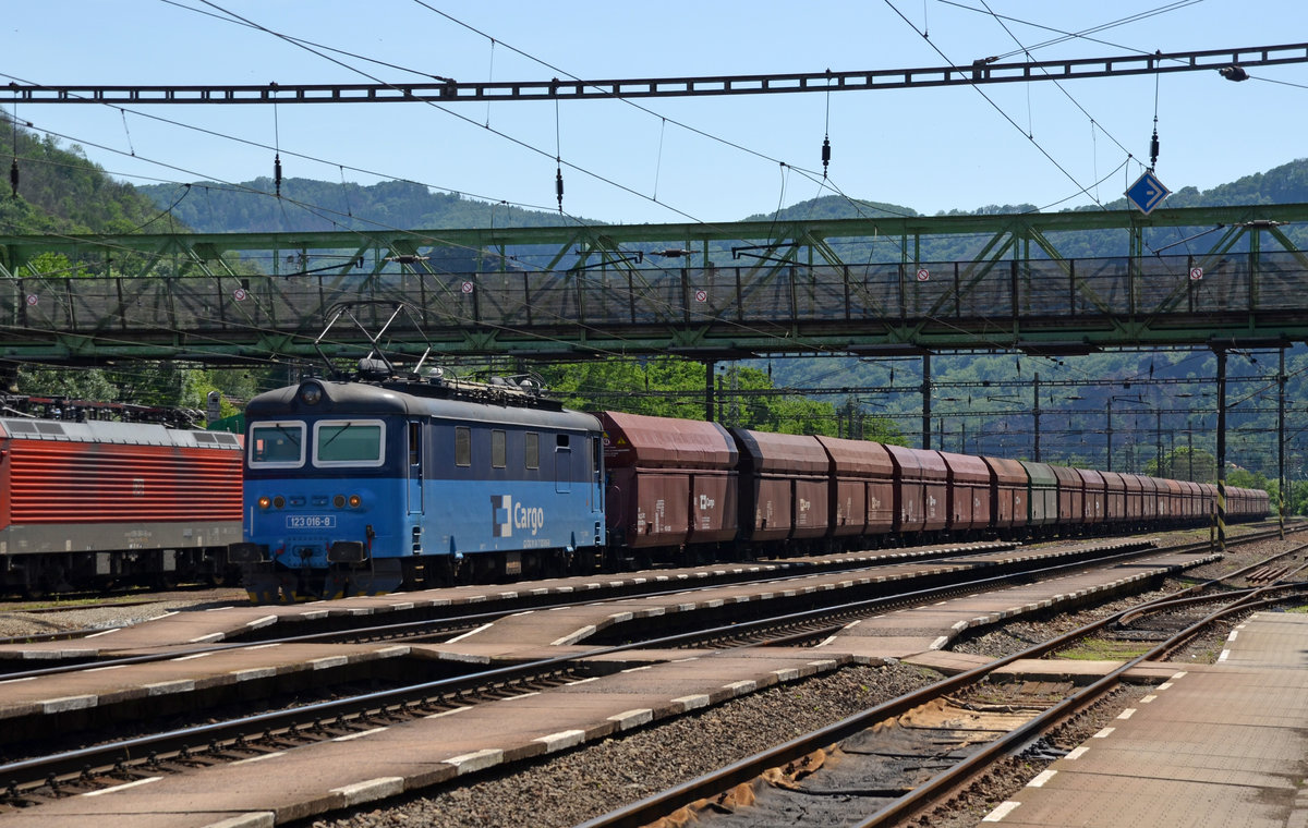 123 016 passiert mit einem Kohlenzug am 14.06.19 den Bahnhof Usti nad Labem Strekov Richtung Zapad.