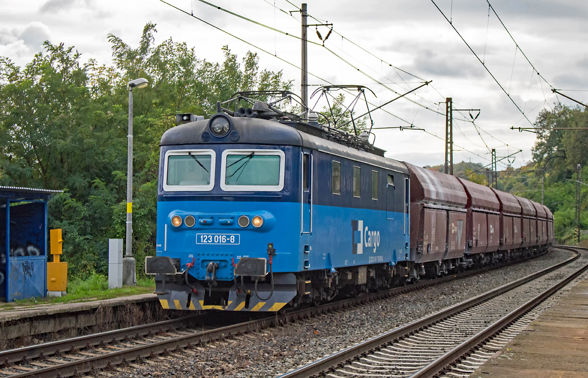 123 016 zieht am 10.10.2017 ihren Ganzzug durch den Haltepunkt Nelahozeves zámek in Richtung Norden.