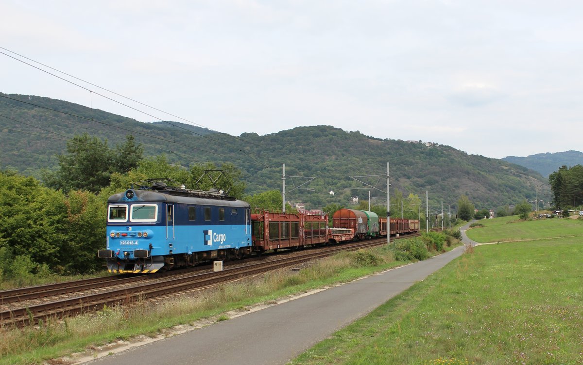 123 018-4 zu sehen am 24.08.19 mit einem Mischer bei Sebuzin.