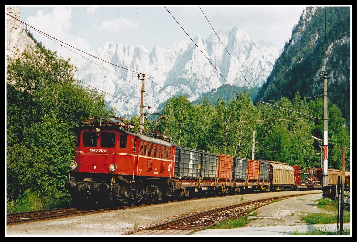 1245 511 mit Güterzug in Gesäuse Eingang am 31.07.1995.