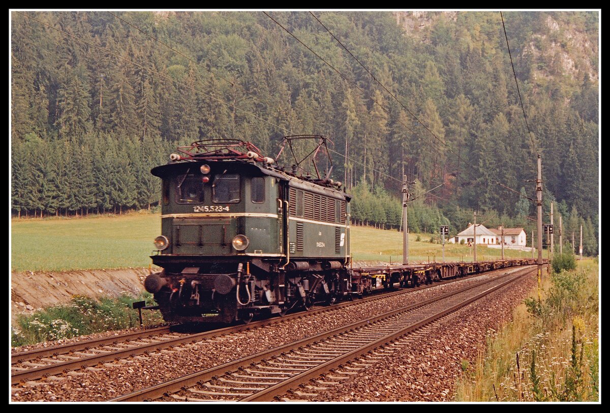 1245 523 mit Güterzug bei Leoben Hinterberg am 4.08.1994.
