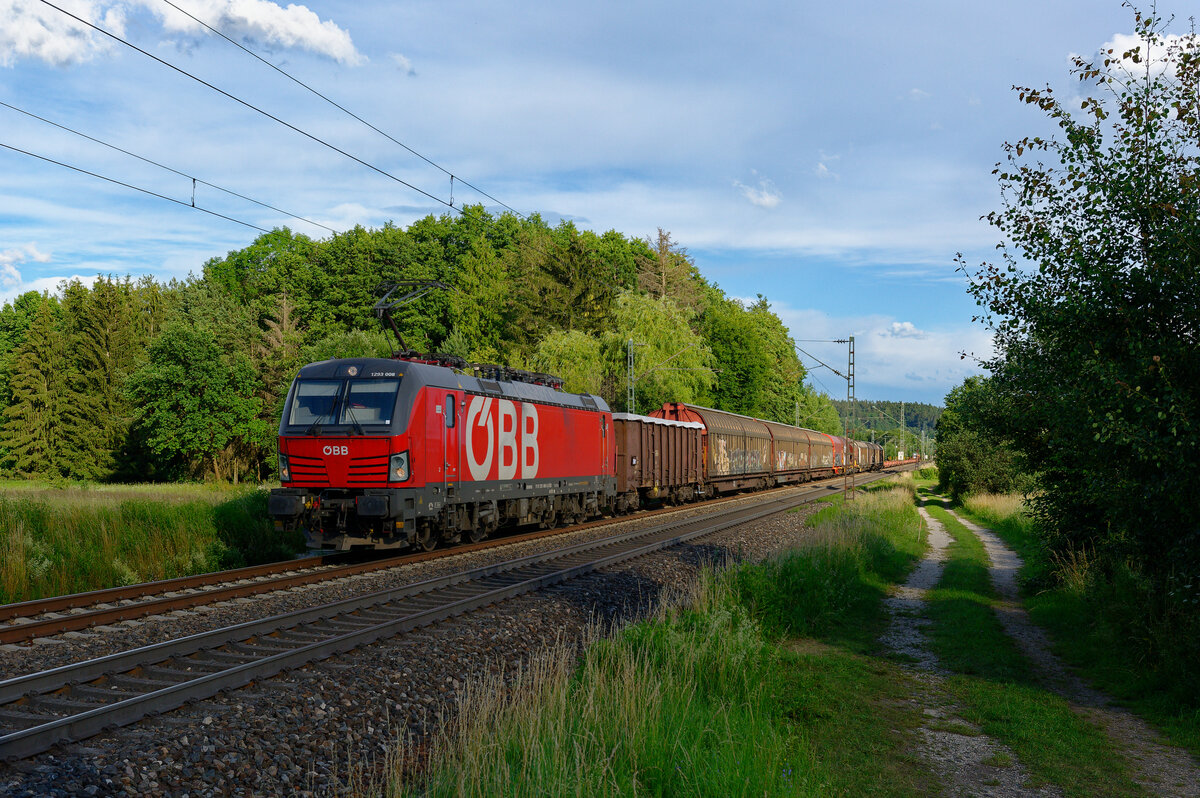 1293 008 ÖBB mit einem gemischten Güterzug bei Postbauer-Heng Richtung Nürnberg Rbf, 01.07.2020