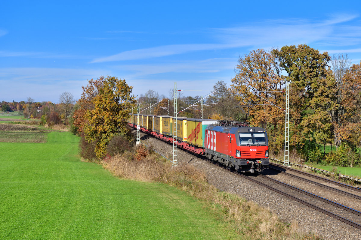 1293 017 mit einem KLV am 31.10.2020 bei Hilperting.