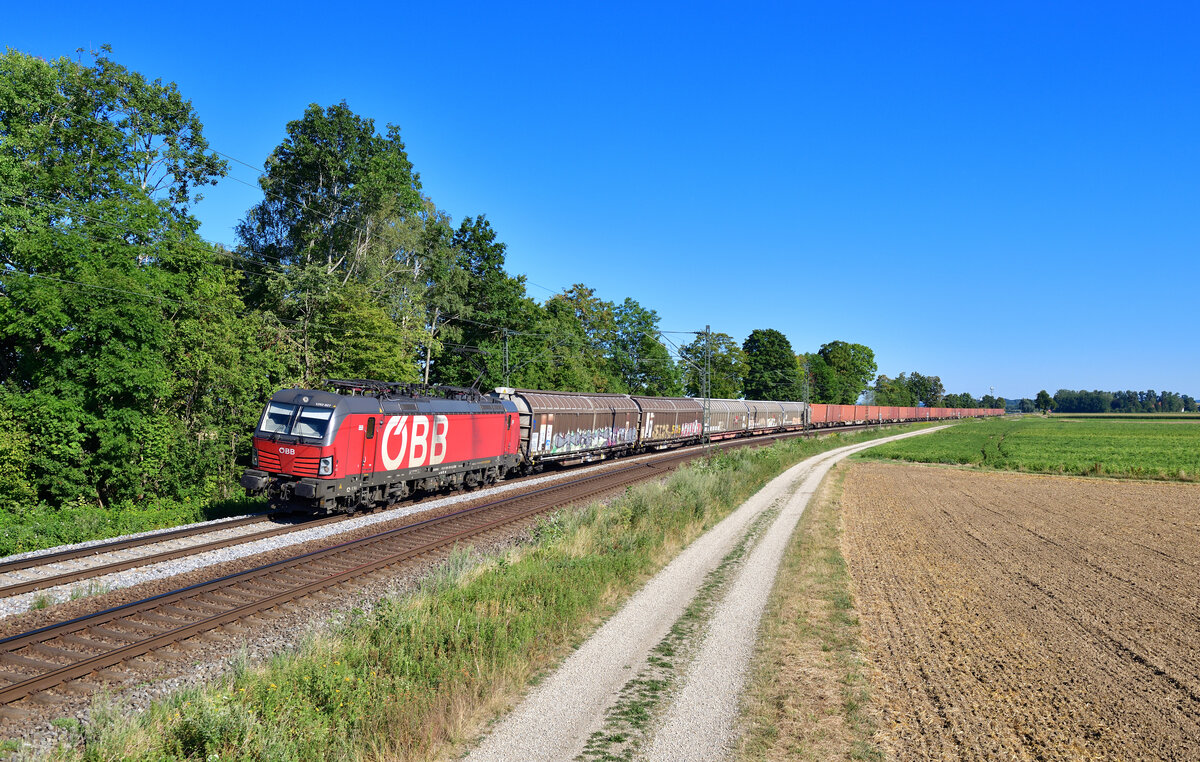 1293 027 mit DGS 42900 am 04.08.2022 bei Langenisarhofen.