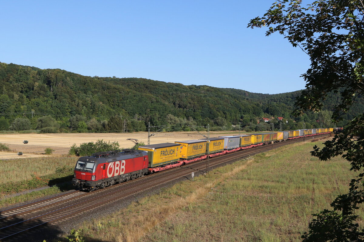 1293 035 mit dem  FRÖLICH-KLV  am 6. August 2022 bei Harrbach am Main.