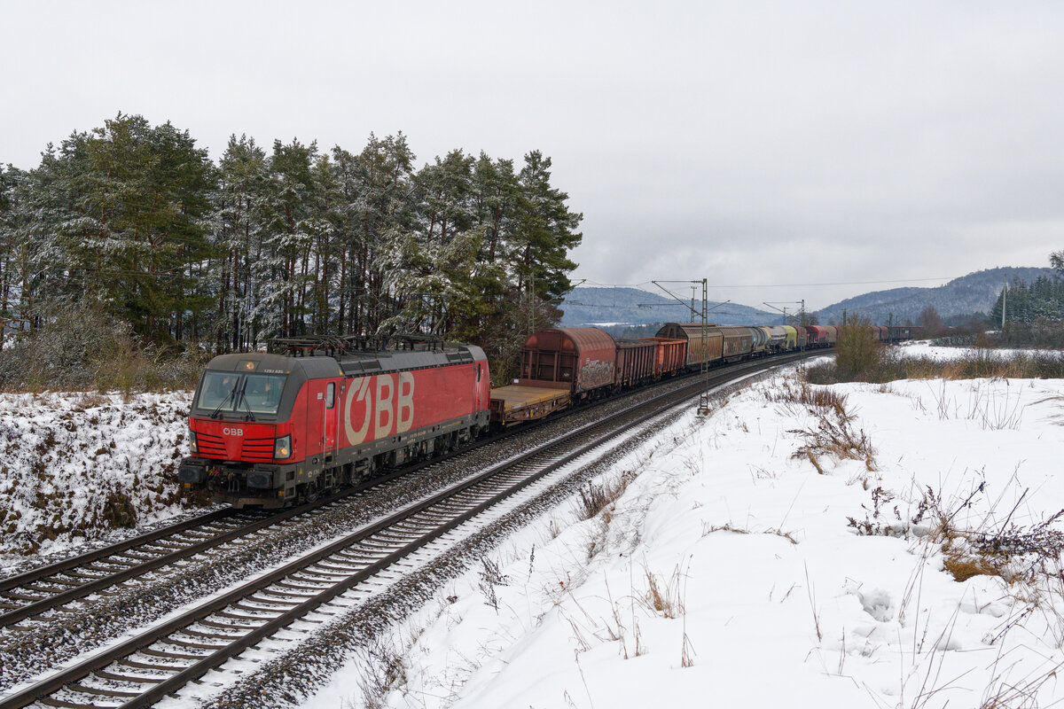 1293 035 ÖBB mit einem gemischten Güterzug bei Parsberg Richtung Nürnberg, 23.01.2021