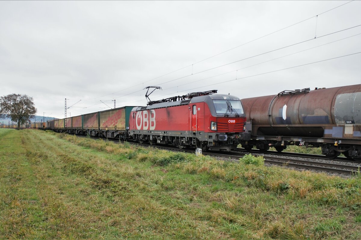 1293 041-0 mit einen Aufliegerzug bei Himmelstadt am 27.10.2021