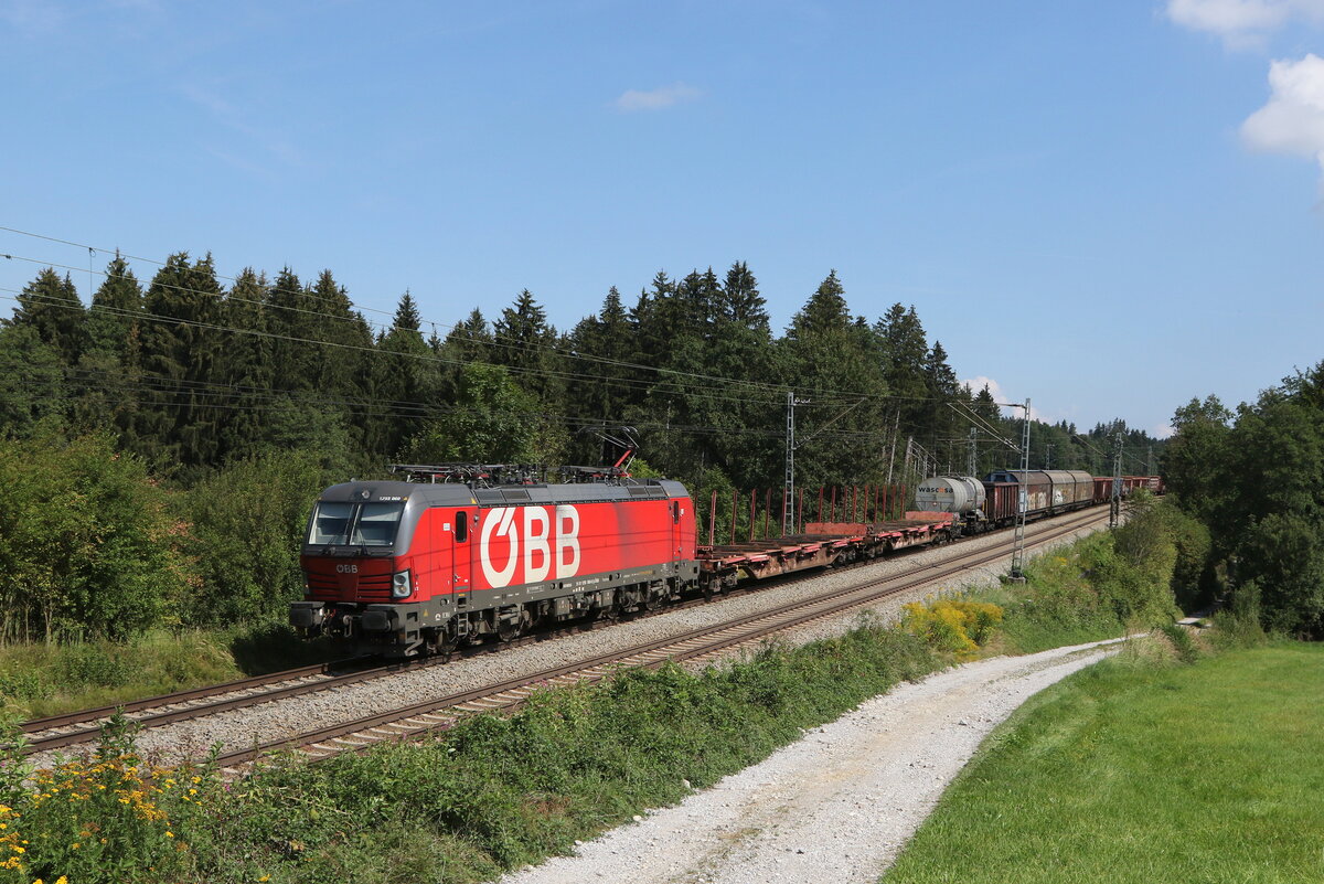 1293 060 mit einem gemischten Güterzug aus Salzburg kommend am 30. August 2022 bei Grabenstätt im Chiemgau.