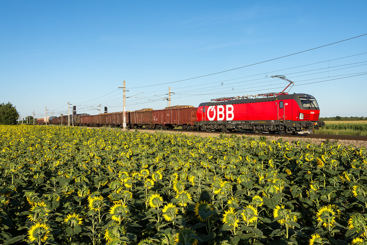 1293 077 konnte am Abend des 27.07.2020 im schönen Abendlich fotografisch festgehalten werden. Die Aufnahme entstand kurz vor Wien Süßenbrunn.
