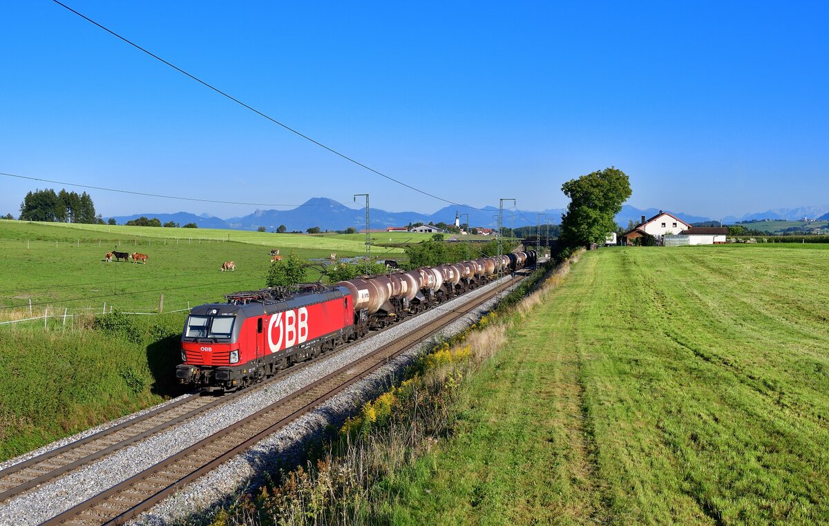 1293 177 mit einem Knickkesselzug am 08.09.2021 bei Hörafing.