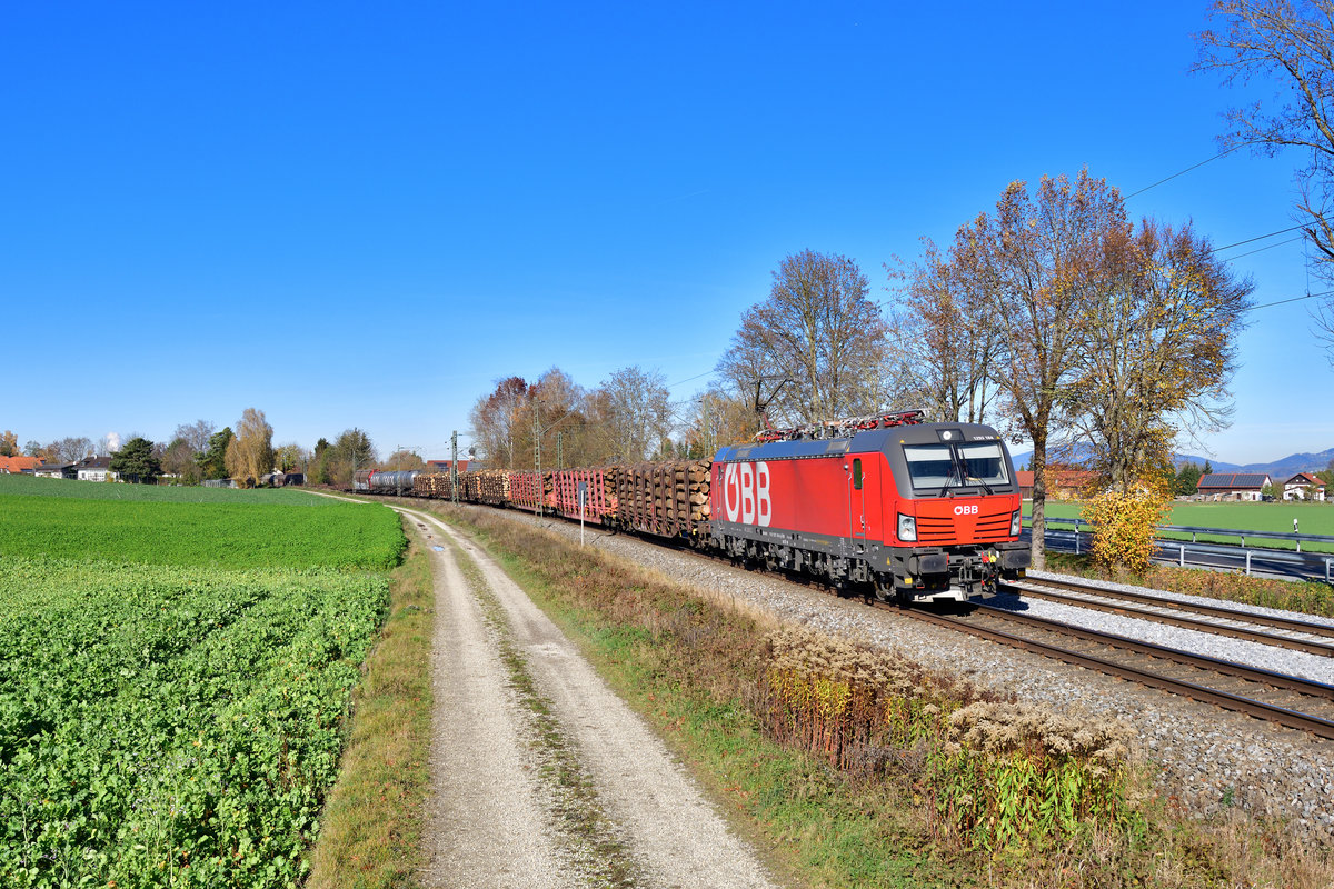 1293 184 mit einem Güterzug am 06.11.2020 bei Langenisarhofen.