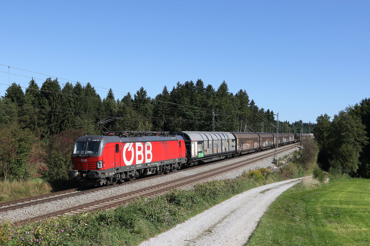 1293 193 mit einem gemischten Güterzug am 25. September 2021 bei Grabenstätt im Chiemgau.