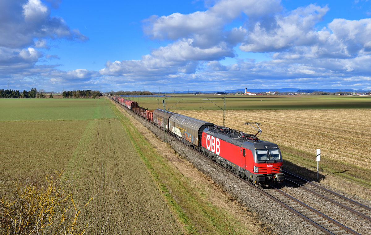 1293 195 mit einem Güterzug am 04.02.2021 bei Stephansposching.
