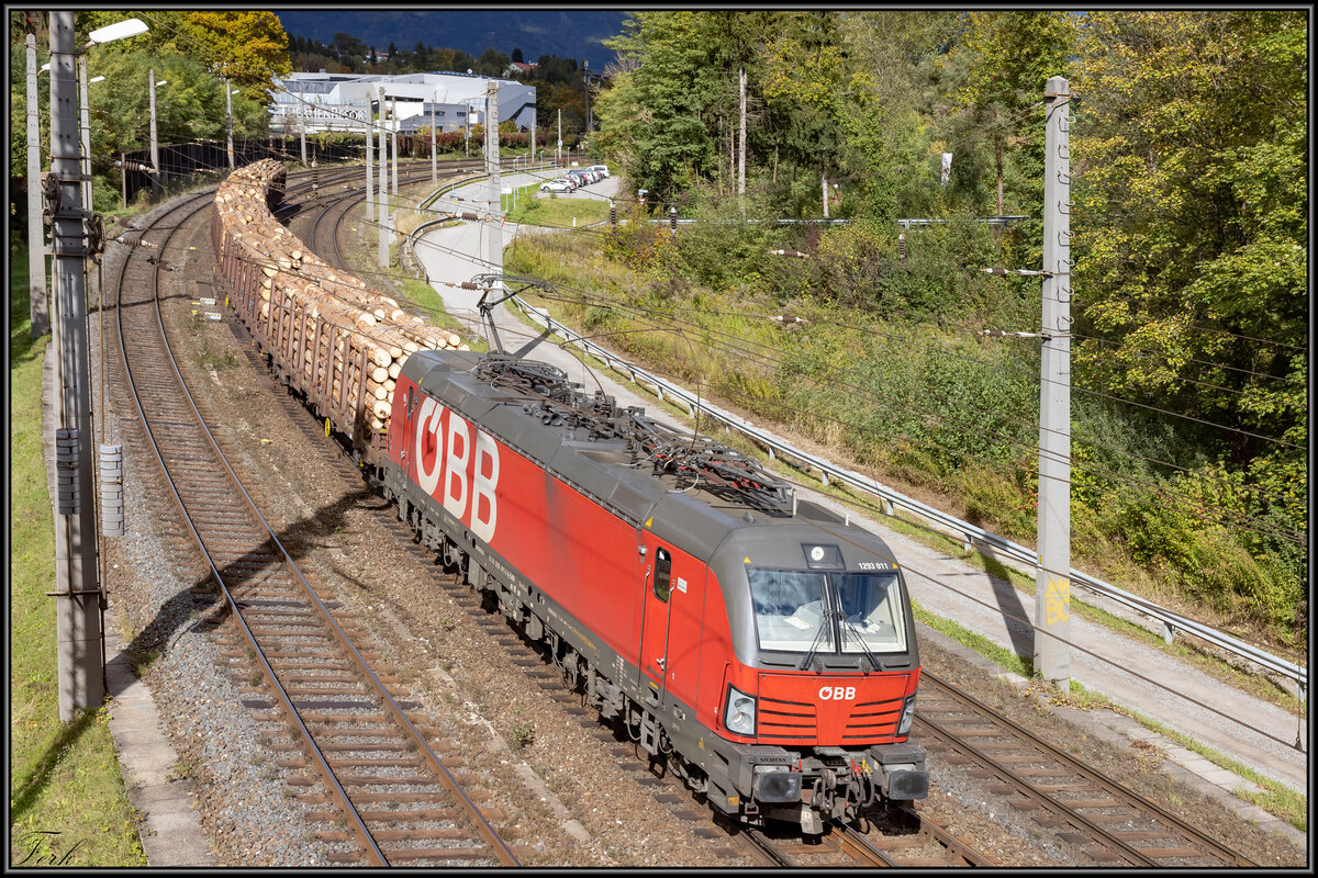 1293.11 mit einem  Güterzügli  im Bahnhof Villach ZVB . 
Mein kurzer Ausflug aus den warmen Gewässern der Therme Warmbad hat sich gelohnt. 
13.10.2021