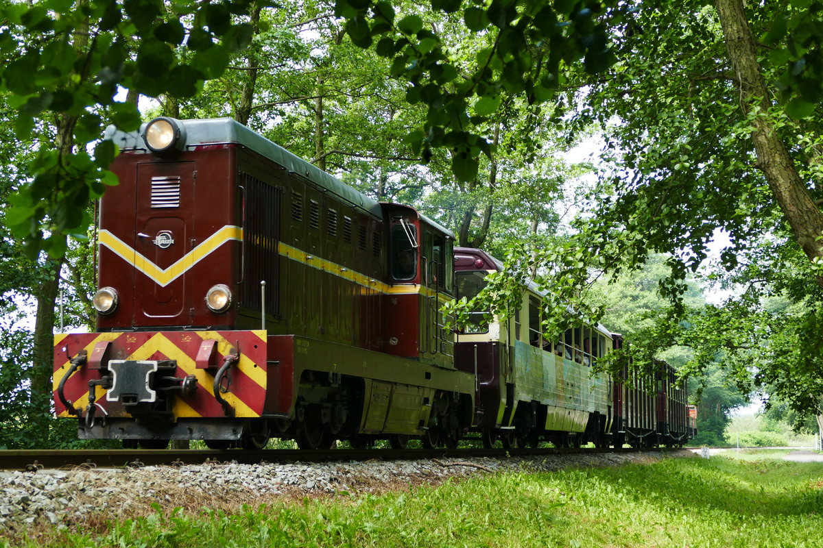 13.06.2019, Schmalspurbahn (Gryfice) - Trzesacz - Pogorzelica. Lok Lxd2 479 fährt mit ihrem vorwiegend aus offenen Sommerwagen bestehendem Zug zwischen Niechorze und Pogorzelica Sandra in östlicher Richtung.
