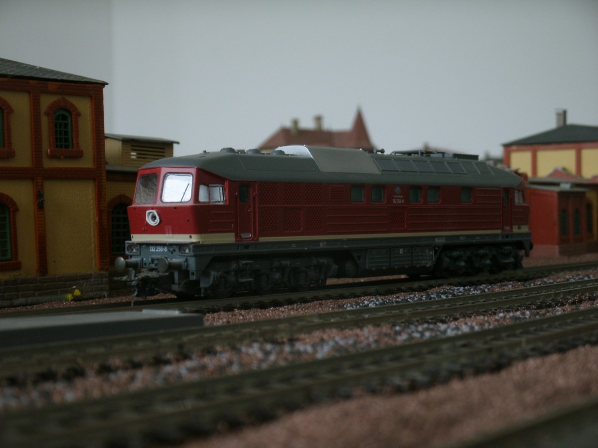 132 256 von Roco in H0 in meinem H0-Bw.