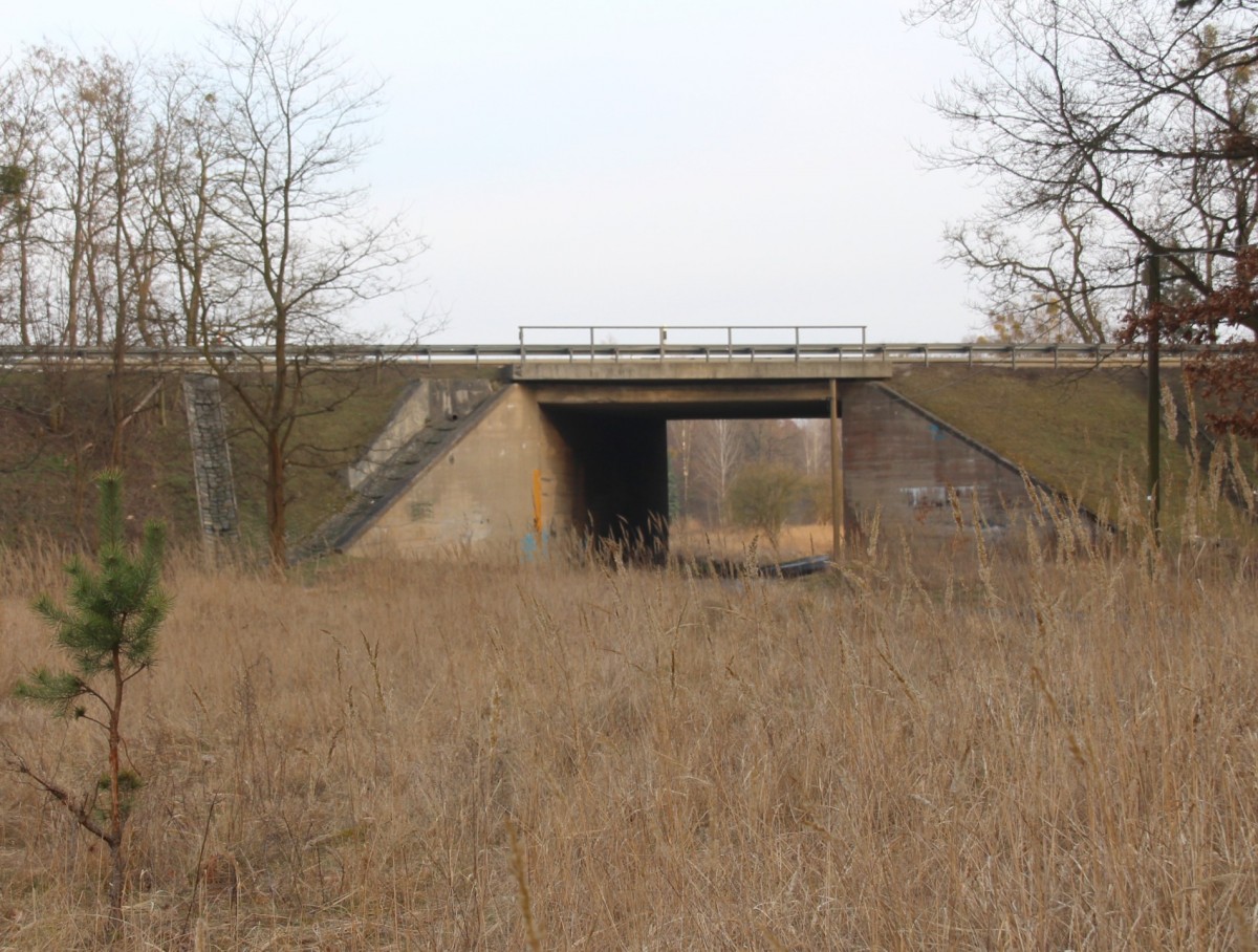 1.3.2014 Überführung der BAB 11 / Reichsautobahn über die Eberswalde-Finowfurter Eisenbahn bzw. Anschluß zum Imprägnierwerk. Fotostandort = Trasse