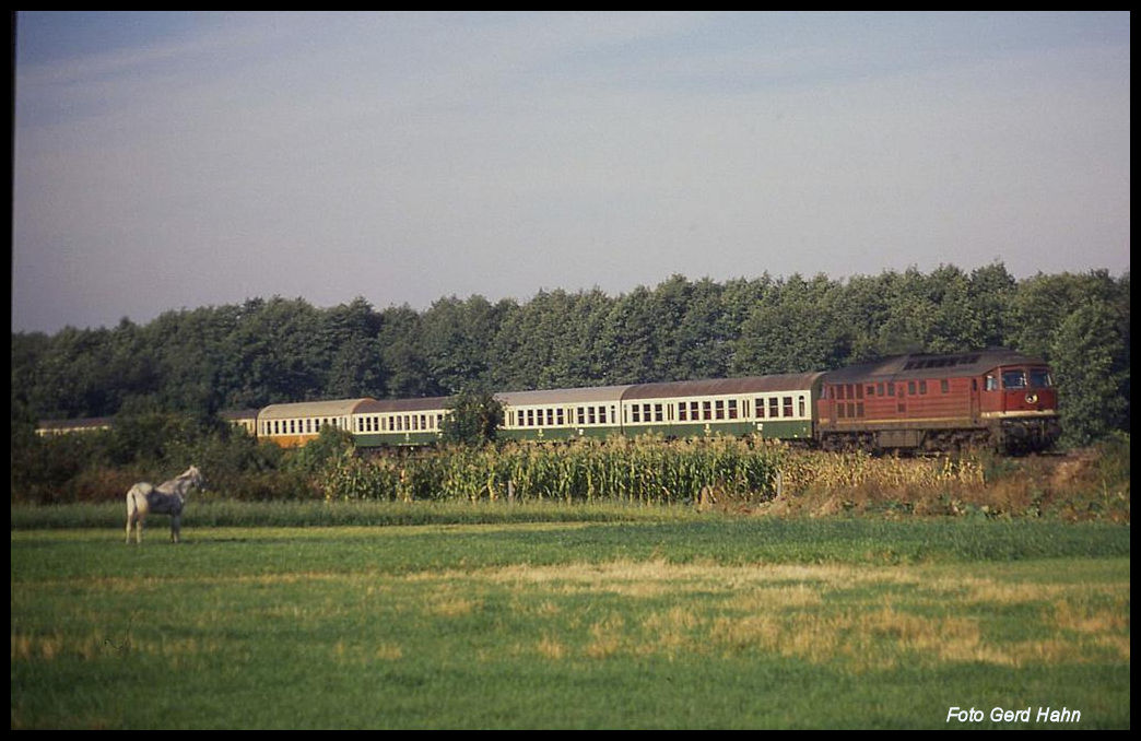 132466 mit dem D 463 nach Frankfurt an der Oder am 5.10.1991 um 9.48 Uhr bei Jeserig.