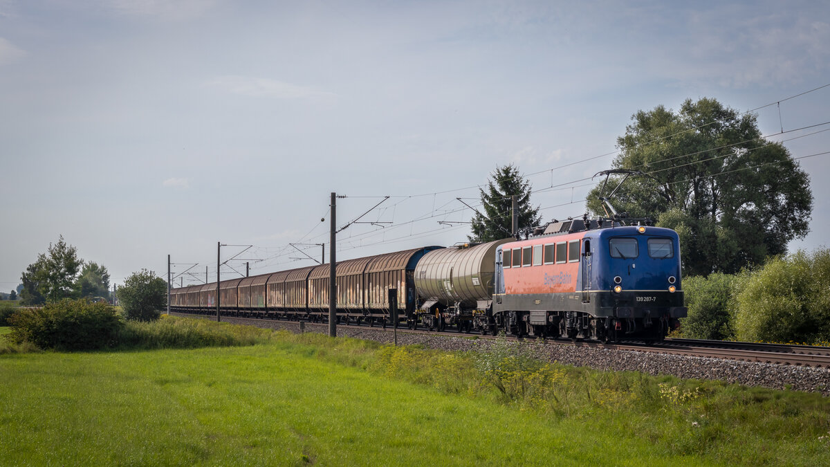 139 287-7 - Laubenzedel 12.08.21