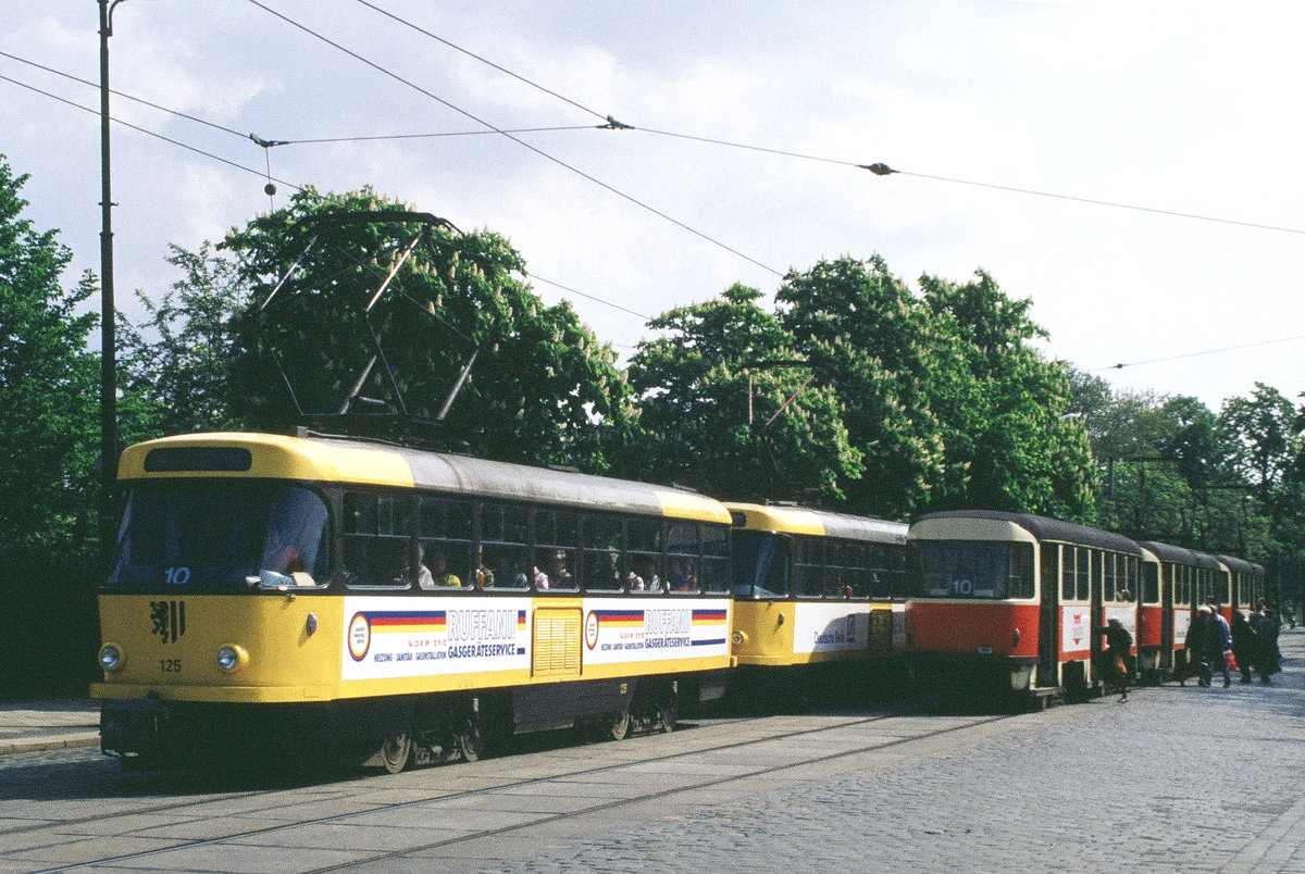 14. Mai 1992. Dresden, an der Haltestelle Wintergartenstraße treffen sich zwei Tatra-Straßenbahnzüge der Linie 10. In Richtung Gorbitz fährt Tw 222 125, schon in den Stadtfarben schwarz/gelb lackiert.  Der noch im traditionellen Rot/beige gehaltene wird nach erfolgtem Fahrgastwechsel weiter zum Endpunkt Laubegast fahren. 