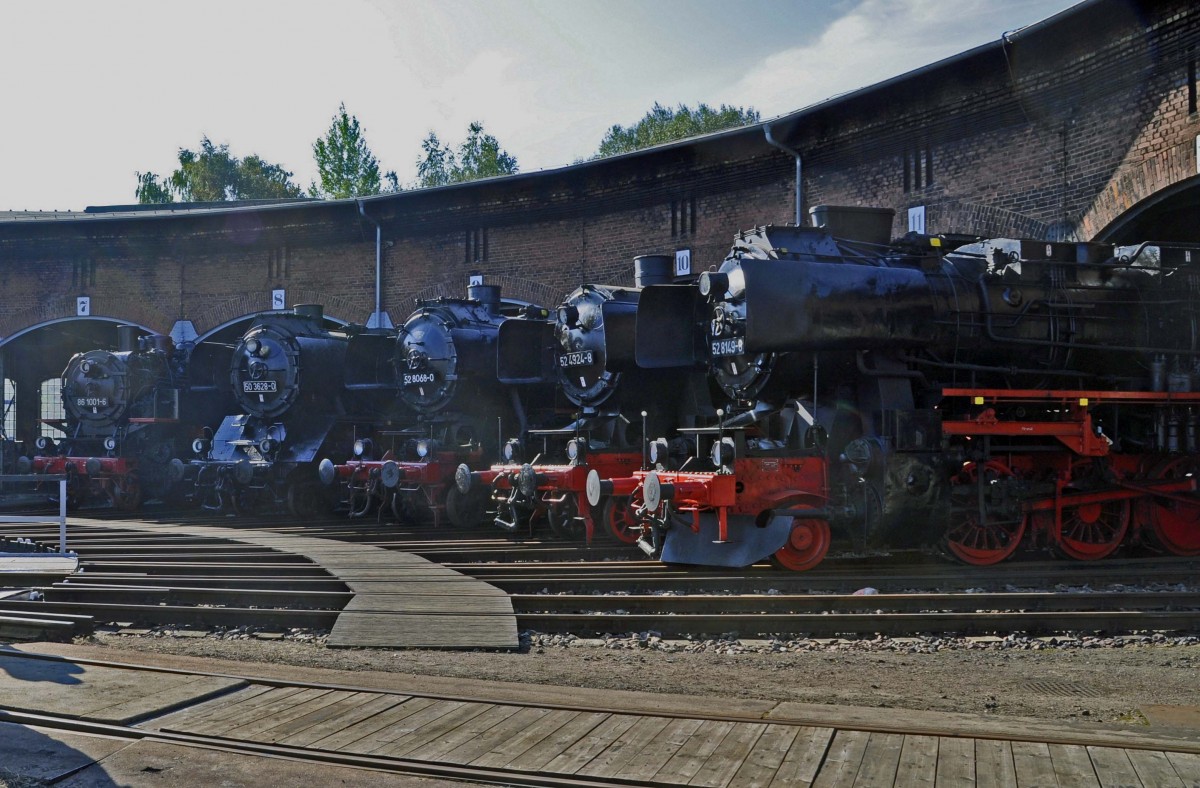 14.09.2013 Chemnitz-Hilbersdorf, Heizhausfest; die 86 1001-6, 50 3628-6, 52 8068-0, 52 4924-8 und 52 8149-8 knnen nur kalt dem Treiben um die Drehscheibe zusehen 