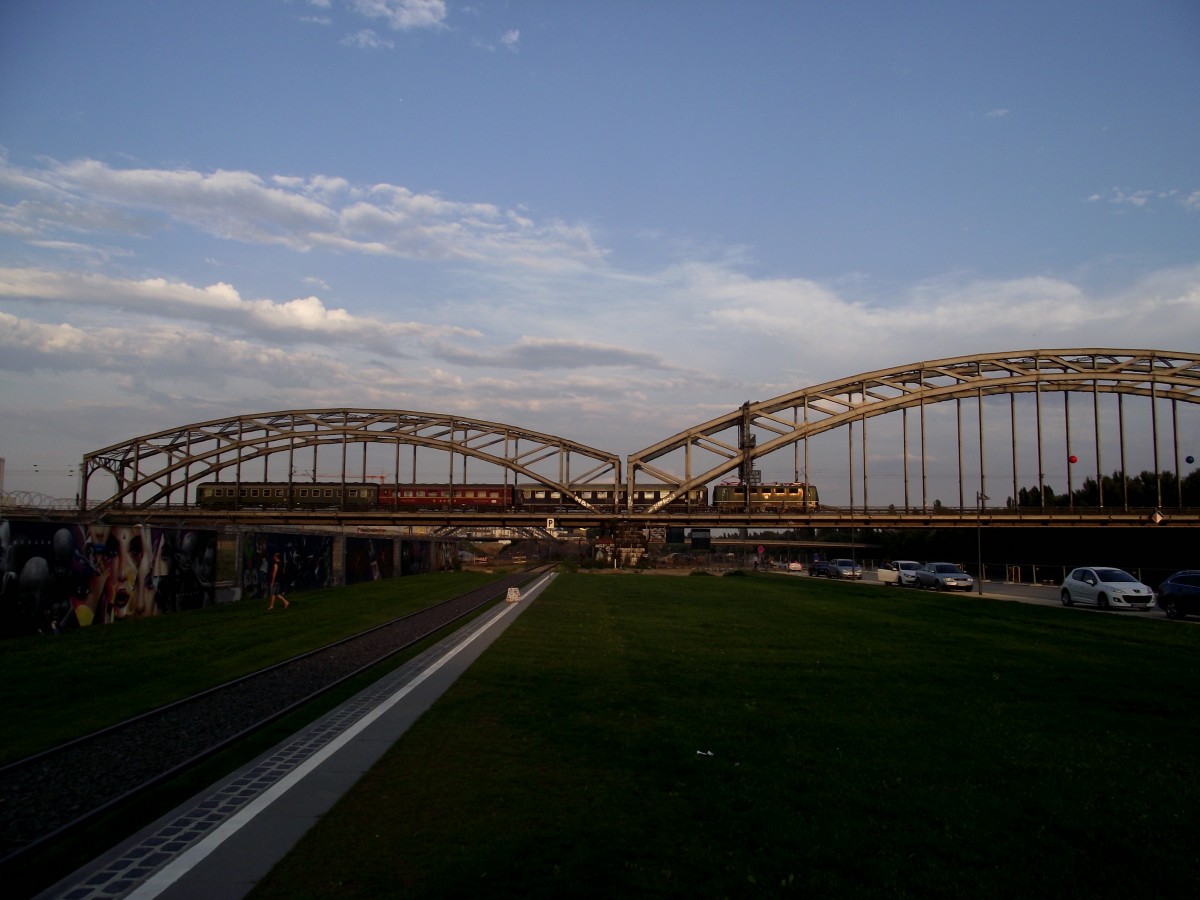 141 228-7 mit Sonderzug am 06.09.13 auf der Detuscherrnbrcke in Frankfurt am Main
