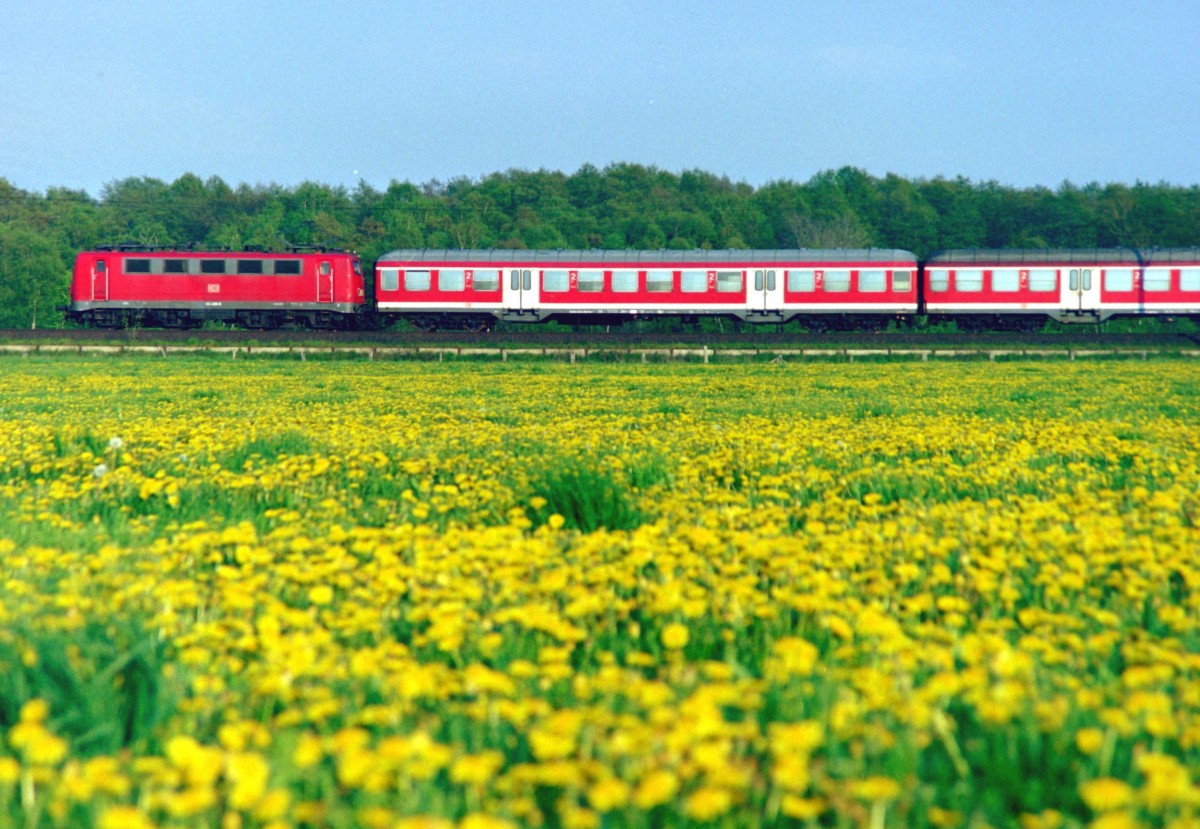 141 406 mit RB 24426 (Harburg–Tostedt) am 03.05.2004 zwischen Maschen und Jesteburg