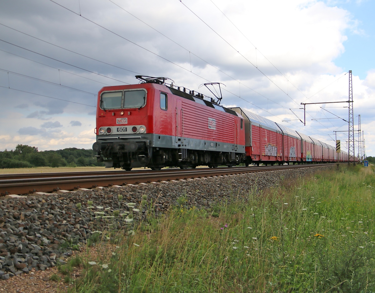 143 179 (MEG 601) mit geschlossenen DB Autotransportwagen in Fahrtrichtung Wunstorf. Aufgenommen am 29.07.2015 in Dedensen-Gümmer.