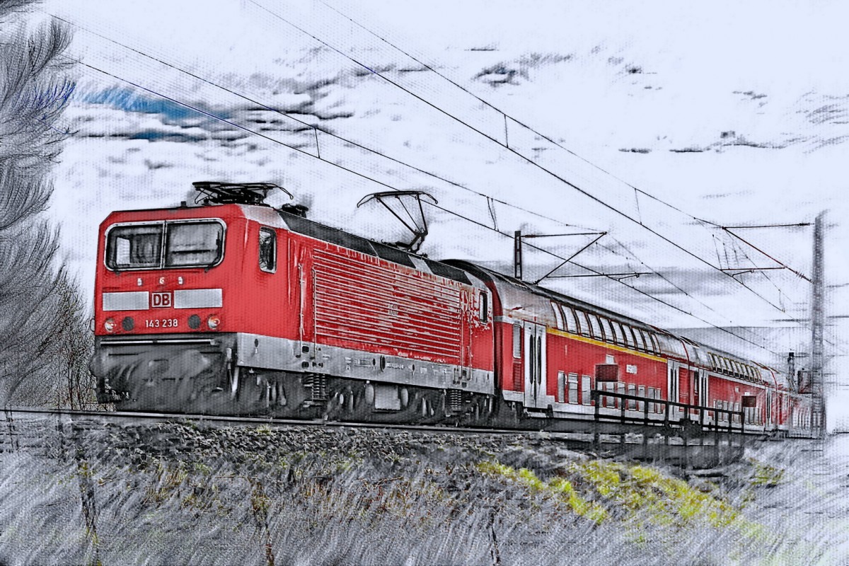 143 238 DB als RB75 nach Wiesbaden - Groß Gerau / Nauheim - 14.01.2016