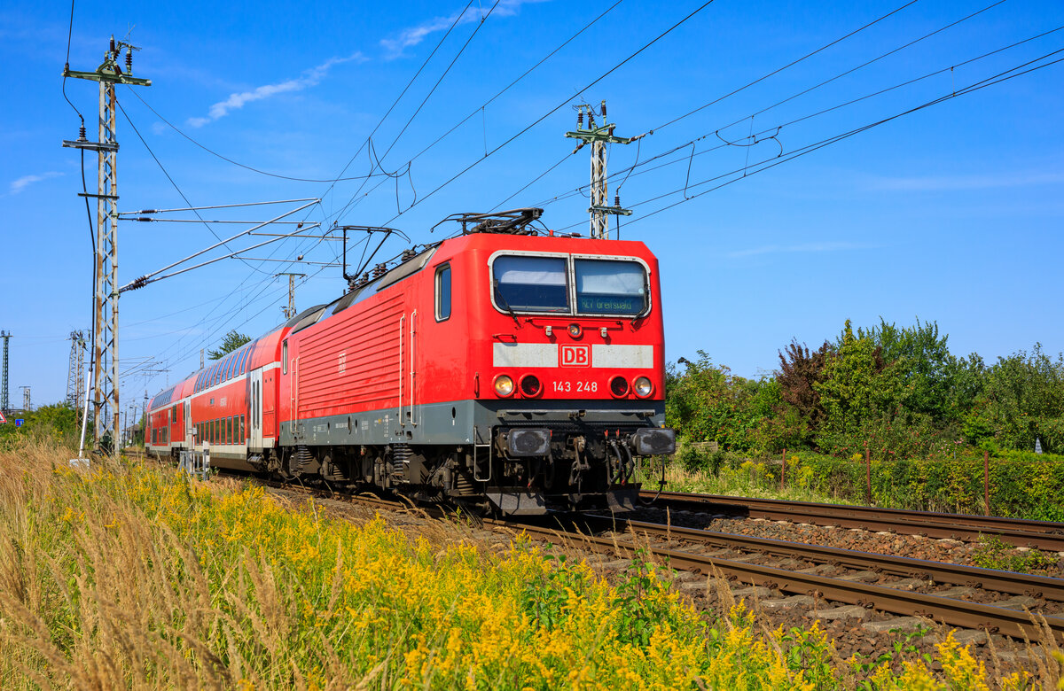 143 248 am 14.08.2022 mit dem RE7 Stralsund Hbf - Greifswald am Abzw. Srg.