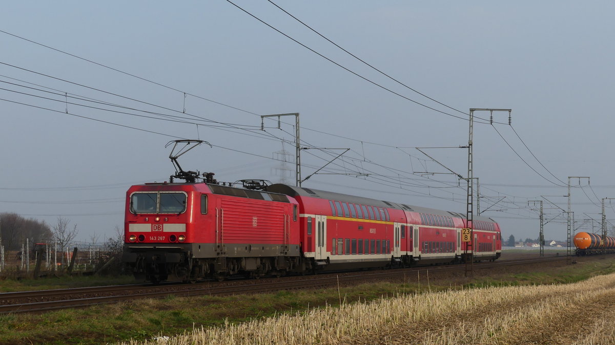 143 267 zieht eine RB75 gen Wiesbaden und wurde hier zwischen Weiterstadt und Klein-Gerau fotografiert. Aufgenommen am 8.2.2018 15:50