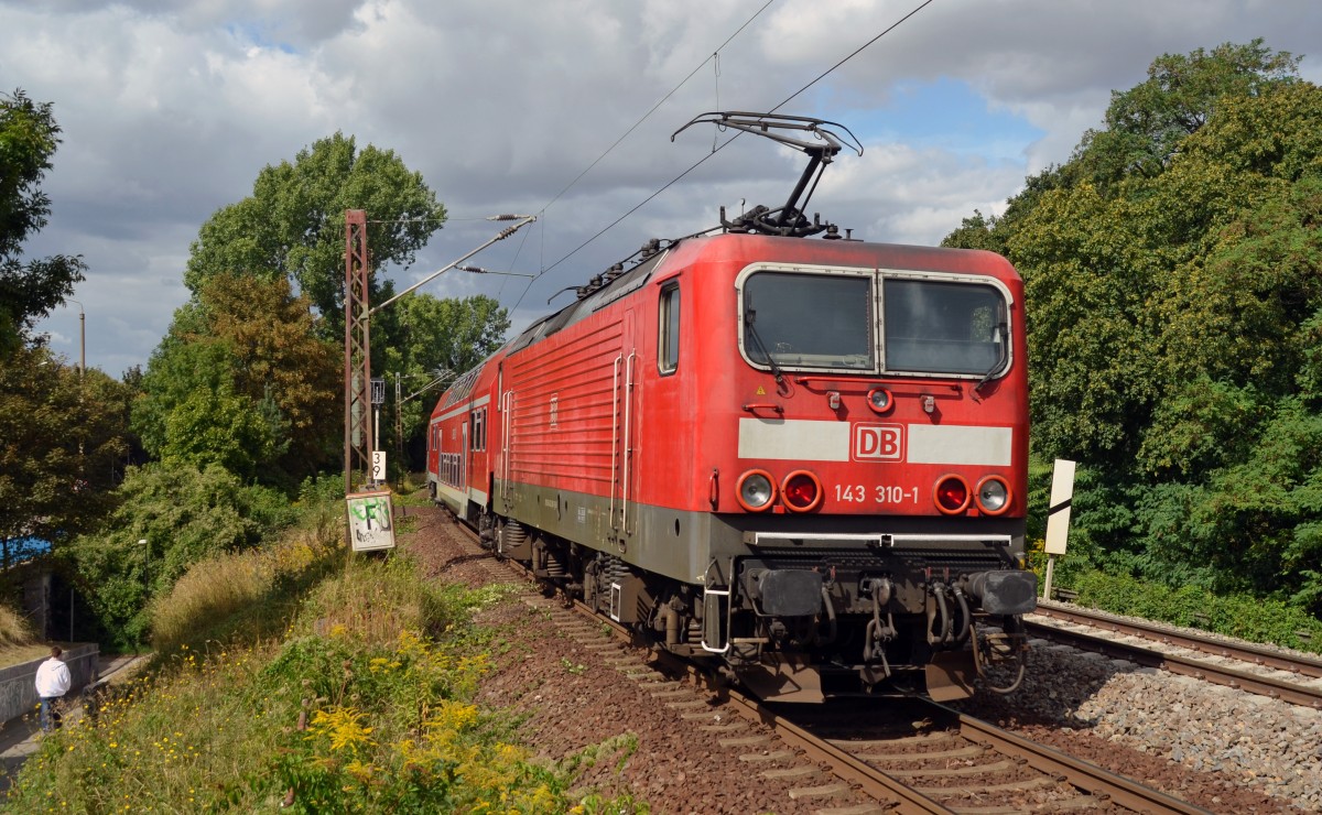 143 310 verl�sst mit einer S7 nach Halle-Trotha am 01.09.13 den S-Bahnhof Halle Zoo.